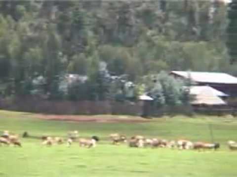 Tigrigna music Tesfay Gebreyohannes - GuAl Hagereseb