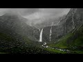 Pola & Bryson - Shinrinyoku