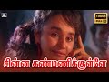 சின்ன கண்மணிக்குள்ளே Chinna Kanmanikkulle SPB Song SPB Paattu 