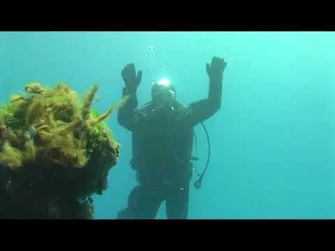 RTDSUB e il Sigrid (Mariann)  2011