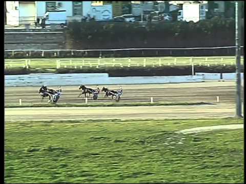 Trotto 29/03/2015 - Corsa Pony