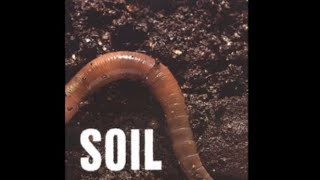 Yellow Lines by Soil