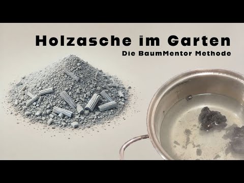 Holzasche im Garten verwenden – Die richtige Methode für gesunde Pflanzen!