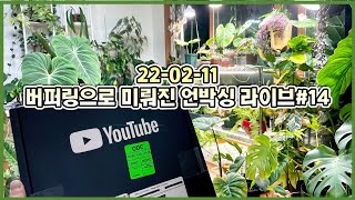 실버버튼 언박싱 미루고 수다만 떤날!! 라이브#14 (22-02-11)