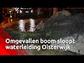 Omgewaaide boom zorgt voor waterballet in Oisterwijk
