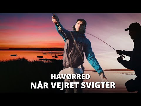 Når Vejrudsigten Svigter