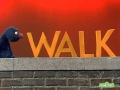 Classic Sesame Street Grover Demonsterates Walk
