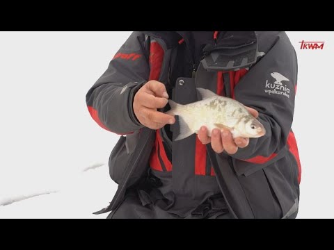 Z wędką nad wodę w Polskę i świat: Wędkarstwo podlodowe na jeziorze Czorsztyn