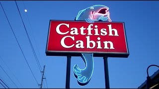 preview picture of video 'Neon Animated Catfish - Catfish Cabin Athens, Alabama'
