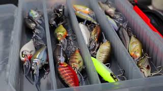 Wobler Rapala Shad Rap Elite 75_GDSD