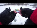 Фото Игра раттлинов на Судака и Щуку. Рыбалка зимой со льда в 2022