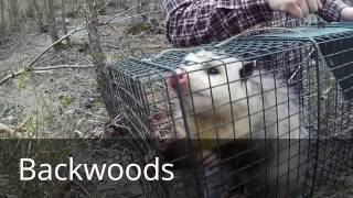 Backwoods Addiction Video