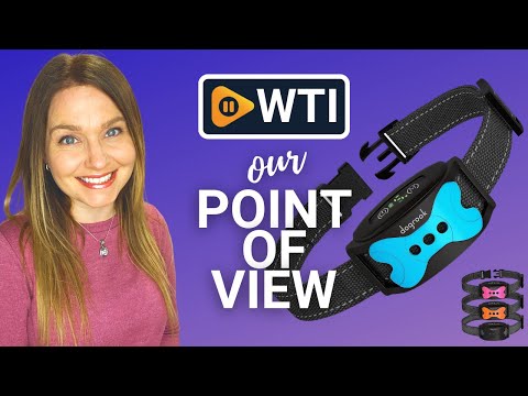 DogRook Dog Bark Collar - WTI product video review
