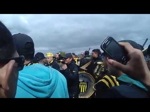 "Percusión barra Amsterdam-Peñarol vs Danubio" Barra: Barra Amsterdam • Club: Peñarol