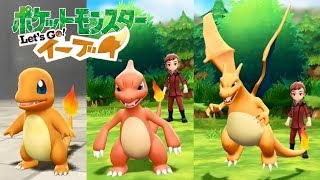 リザード ポケットモンスター ゲコガシラ カムカメ バネブー