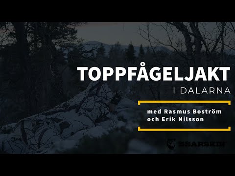 Toppfågeljakt i Älvdalsskogarna.