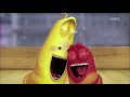 ᴴᴰ Larva 2013 Season 2 Ep 25 Ice Roly Poly Re Full HD YouTube Episode 25