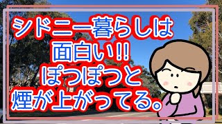 【シドニー生活は面白い】憧れの暖炉生活！シドニーの冬は雪が降るほど寒くはないけど。