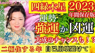 再生と破壊の二極の年大成のチャンスも!【四緑木星2023年の運勢】心の豊かさと現実を豊かに創造できる九星気学の運命好転術の奥義とスピリチュアル『真理』の視点から真の開運方法をお伝えします