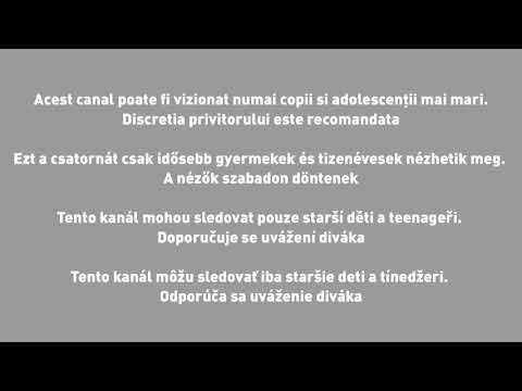 Junior XL CEE - Start-Up (SD Version)