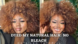 How To DYE Hair HONEY BLONDE | NO BLEACH Step by Step |Natural HAIR| (Ombre Color)