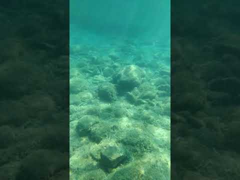 Test Crosscall Action x3