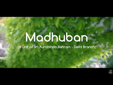 Tanuj Talwar Madhuban- Sri Aurobindo Ashram