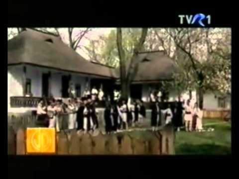 Liviu Vasilica ar fi implinit 61 de ani astazi 2 iulie 2011 - Clip 2