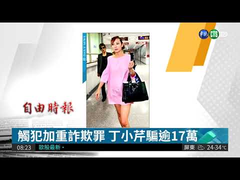 上網賣假名牌包 丁小芹重判3年半