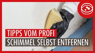 Schimmel an der Wand im Haus selbst entfernen: Bis zu diesem Ausmaß möglich | Ratgeber vom Experten