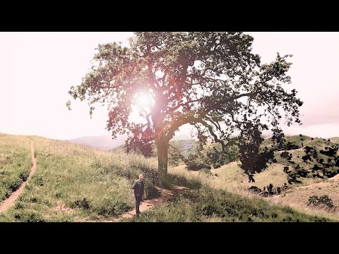 The Deer’s Cry - Lee Harris & Davor Bozic (feat. Eva Irgl & Choir Ave)