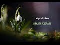Angel Of Hope - OMAR AKRAM