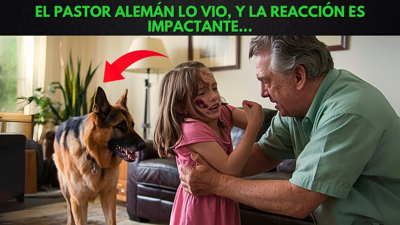 Fue maltratada por su abuelo, pero su pastor alemán lo vio, y lo que sucede después es impactante...