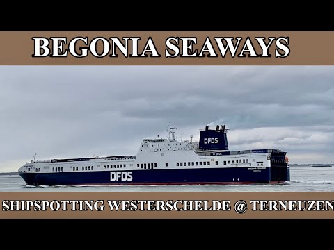 Shipspotting Westerschelde @ Terneuzen - "Begonia Seaways" - 21-03-2023 (2)