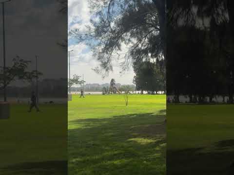 #CiudadDeLosNiños #VicenteLopez