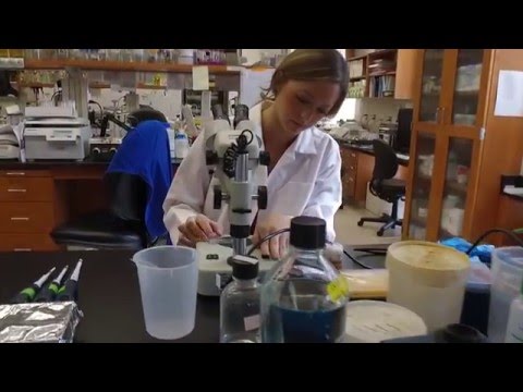 Florida State University