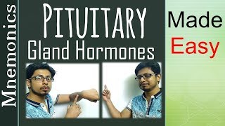 Pituitary gland hormone tricks and mnemonics