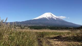 （株）バップ富士山バギー、安比高原バギー