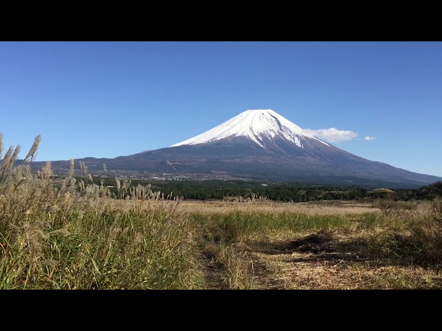 （株）バップ富士山バギー、安比高原バギー