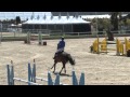 Dana Van De Veldbalie 135 Class Oliva Nova 2015