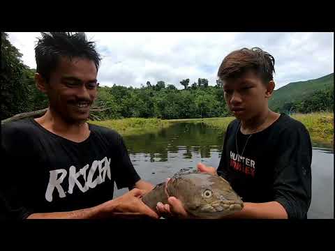 ITO NA PINAKA MALAKING NAHULI NAMIN MAY DALAWA PANG MAMAW NA KASAMA CATCH AND COOK