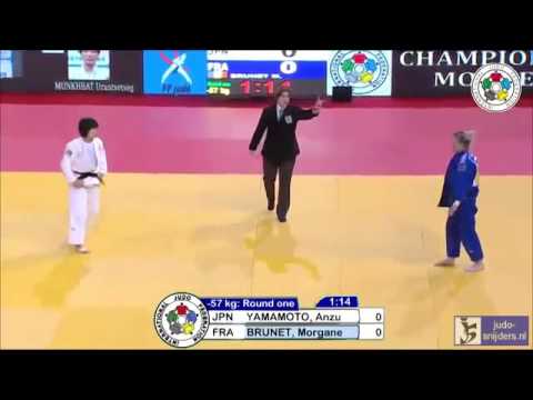 Judo 2014 Grand Slam Paris: Yamamoto (JPN) - Brunet (FRA) [-57kg]