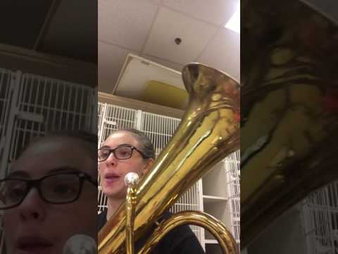 WCU Show Music Audition 2017 Samantha Ayscue