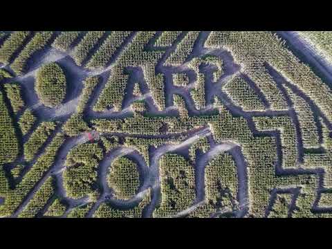 download lagu mp3 mp4 Cave Springs Haunted Corn Maze, download lagu Cave Springs Haunted Corn Maze gratis, unduh video klip Cave Springs Haunted Corn Maze