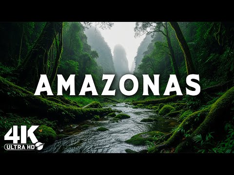Versteckter Amazonas | Die unglaublichsten Wunder des Amazonas-Regenwalds | Dokumentarfilm