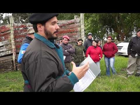 Curso de Ganadería familiar y campo natural en Cerro Largo con la Asociación de Altos do Camaquá
