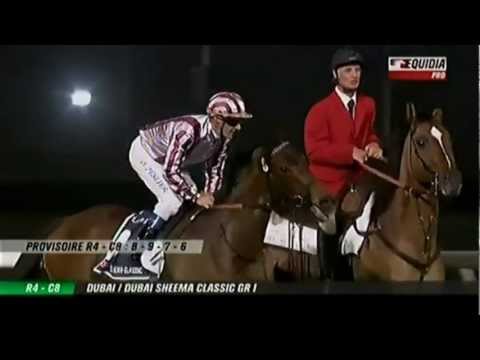 Dubai Sheema Classic 2012_Cirrus Des Aigles