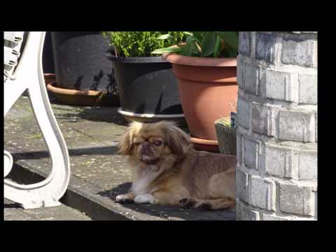 Kate Yanai - Summer Dreaming