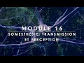 Voies de Transmission Somesthésiques : Système Lemniscal et Spinothalamique