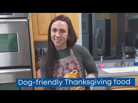Dog-friendly Thanksgiving food